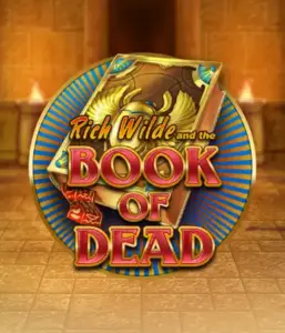 Embark on the thrilling world of Book of Dead by Play'n GO, presenting vivid graphics of Rich Wilde's journey through ancient Egyptian tombs and artifacts. Discover lost riches with exciting mechanics like free spins, expanding symbols, and a gamble option. Ideal for adventure seekers with a desire for exciting finds.